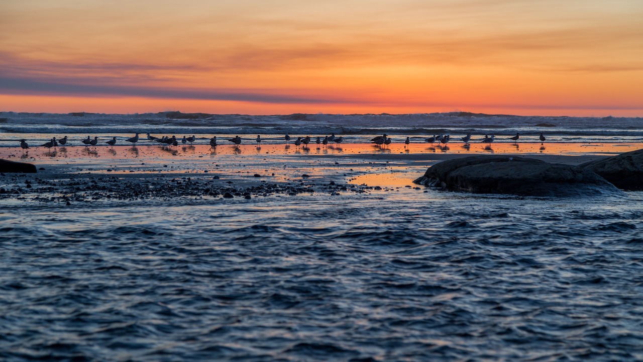 Photo of Others in Kalaloch