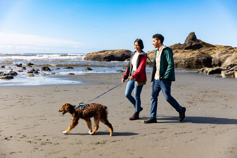 Photo of Others in Kalaloch