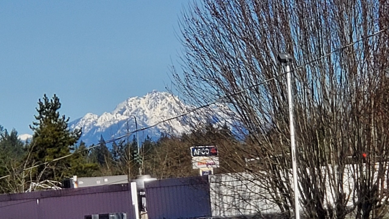 Photo of Bedroom in Shelton