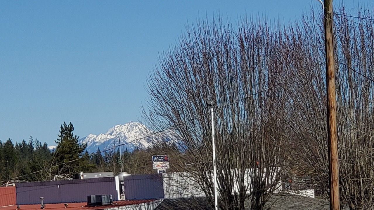 Photo of Others in Shelton