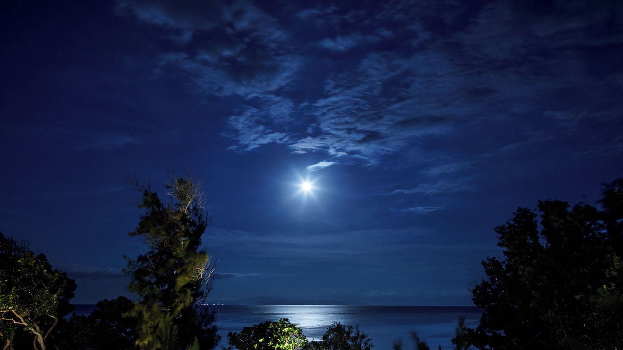 Photo of Others in Sanur