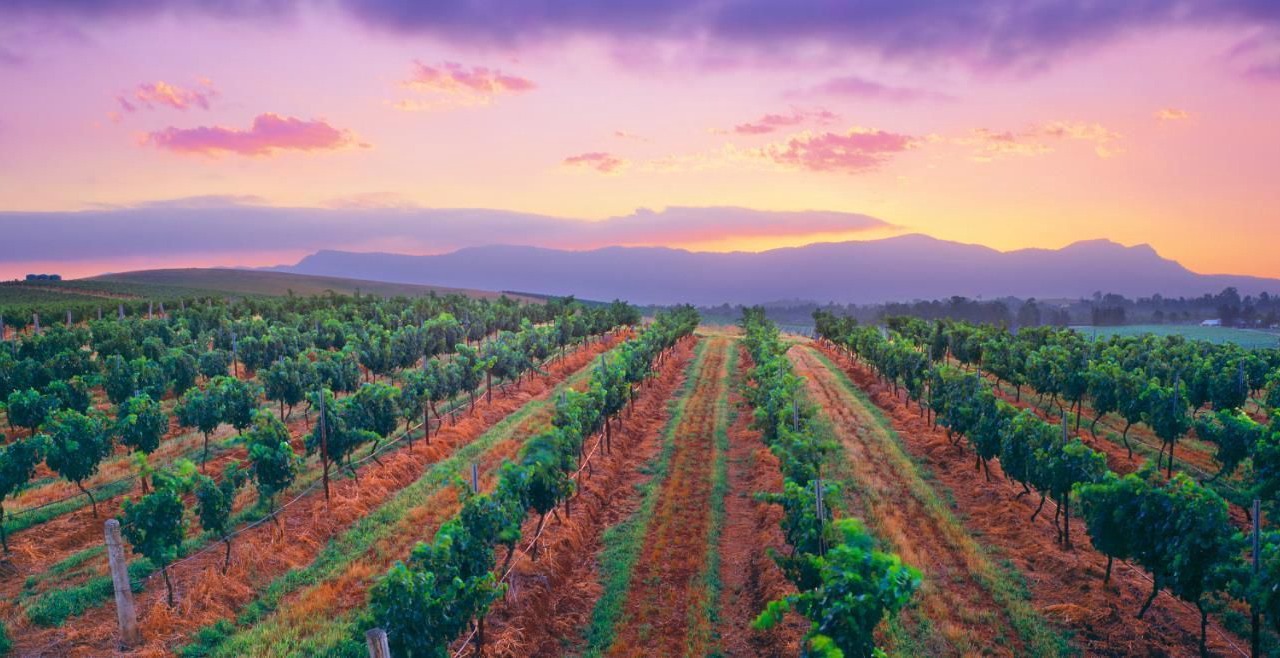 Photo of Others in Cessnock