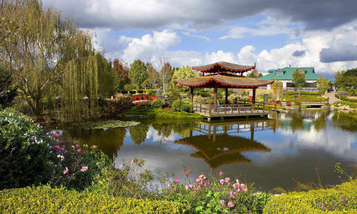 Photo of Outdoor in Cessnock