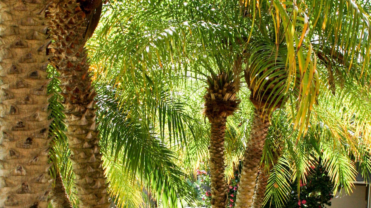 Photo of Outdoor in Adamstown Heights