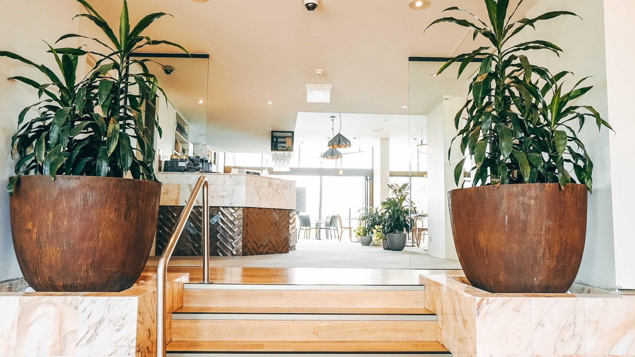 Photo of Outdoor in Adamstown Heights