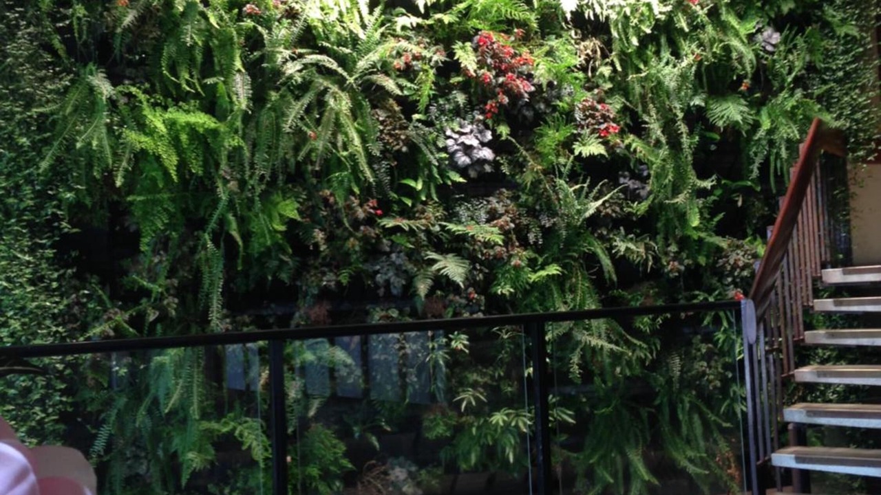 Photo of Others in Ballarat