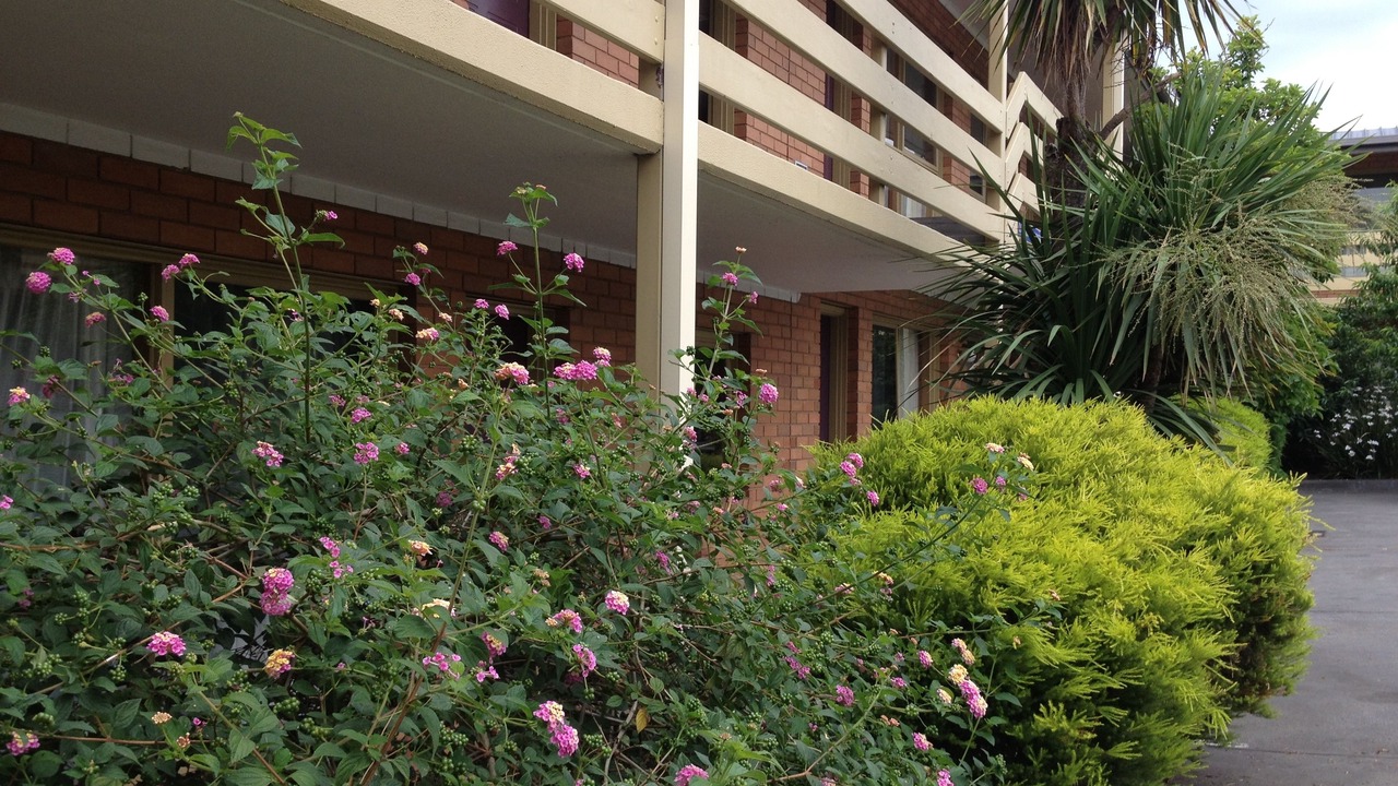 Photo of Outdoor in Essendon North