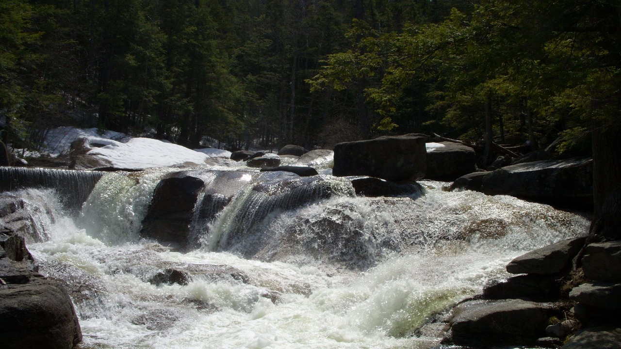 Photo of Others in North Conway