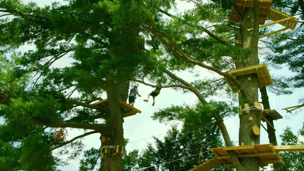 Photo of Others in North Conway