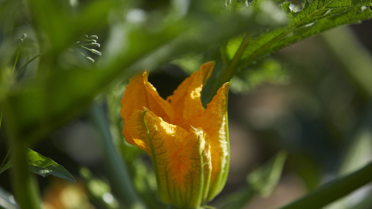 Photo of Outdoor in Audrieu