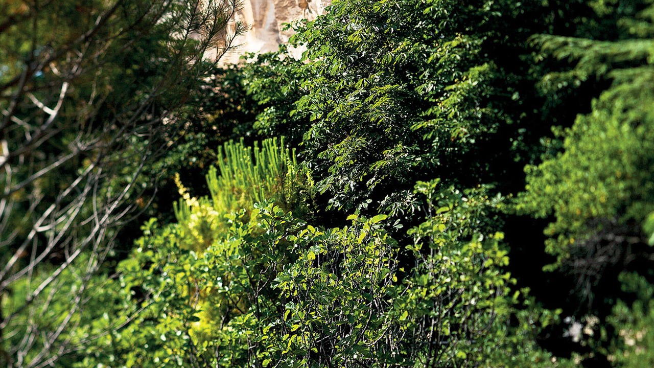 Photo of Outdoor in Les Baux-de-Provence