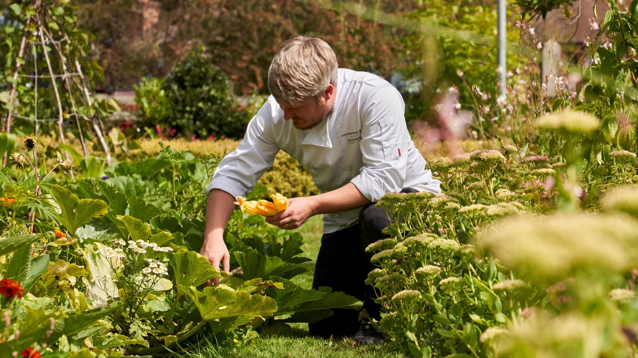 Photo of Outdoor in Beaulieu