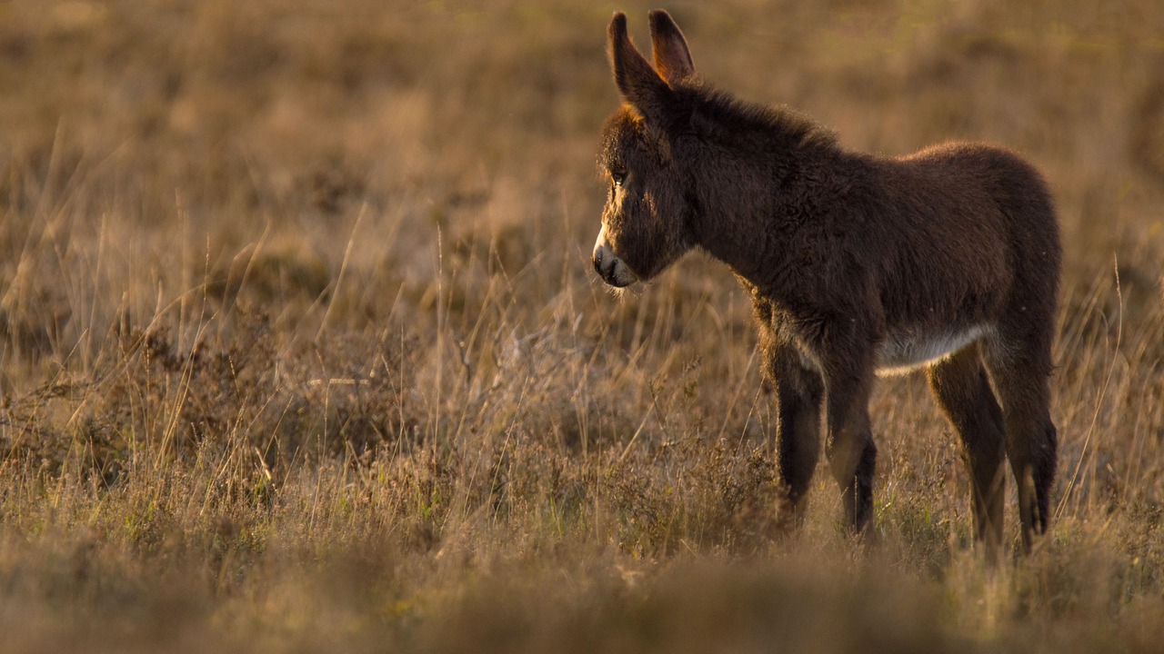 Photo of Outdoor in Beaulieu