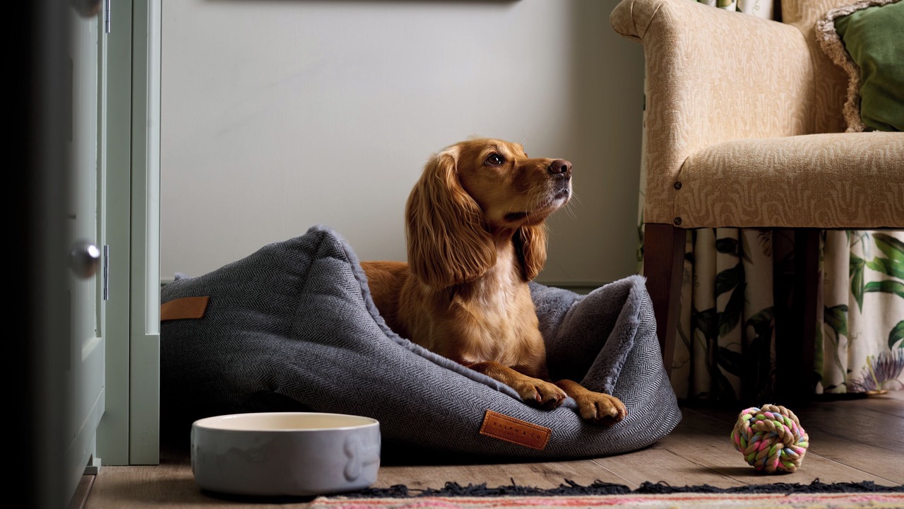 Photo of Others in Beaulieu