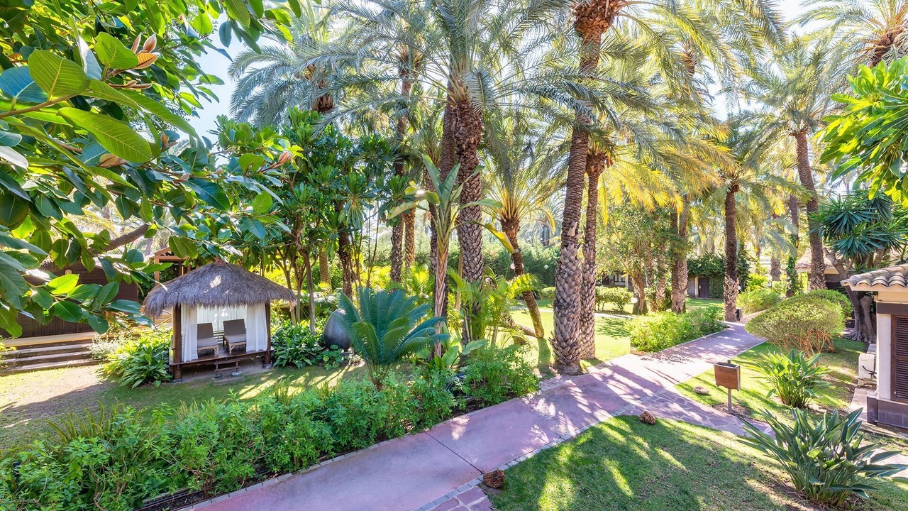 Photo of Outdoor in Elche