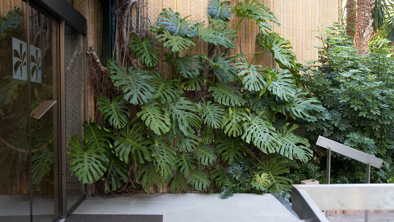 Photo of Outdoor in Elche
