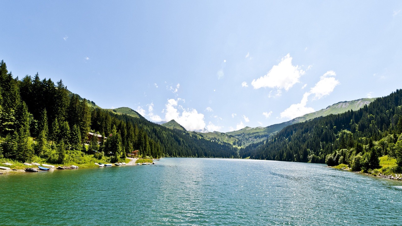 Photo of Others in Saanen