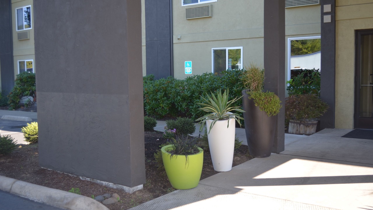 Photo of Outdoor in Roseburg
