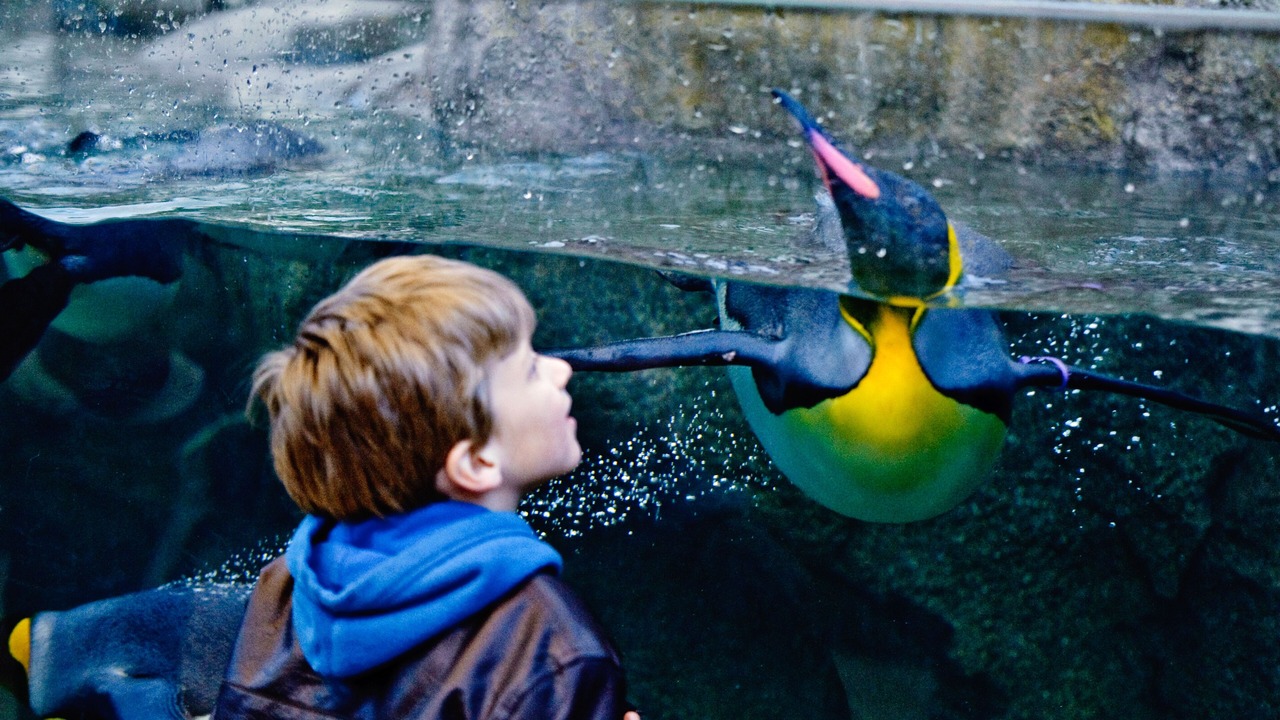 Photo of Others in Northwest Calgary