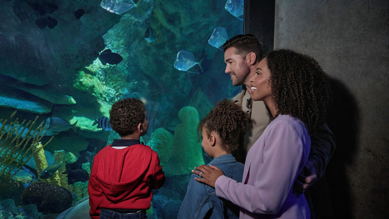 Photo of Others in Boston Financial District