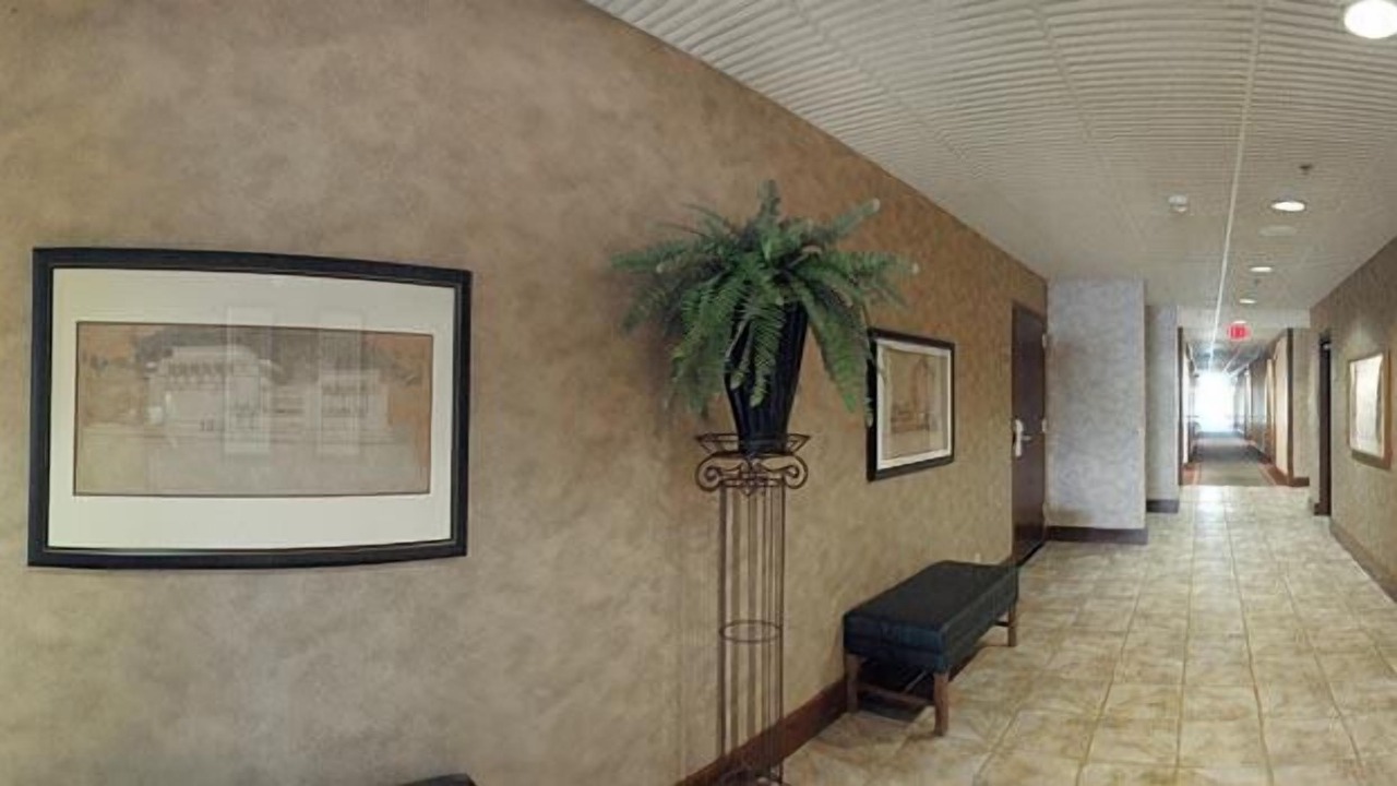 Photo of Others in Seymour