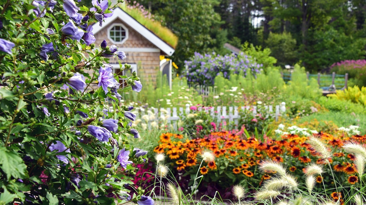 Photo of Outdoor in Freeport