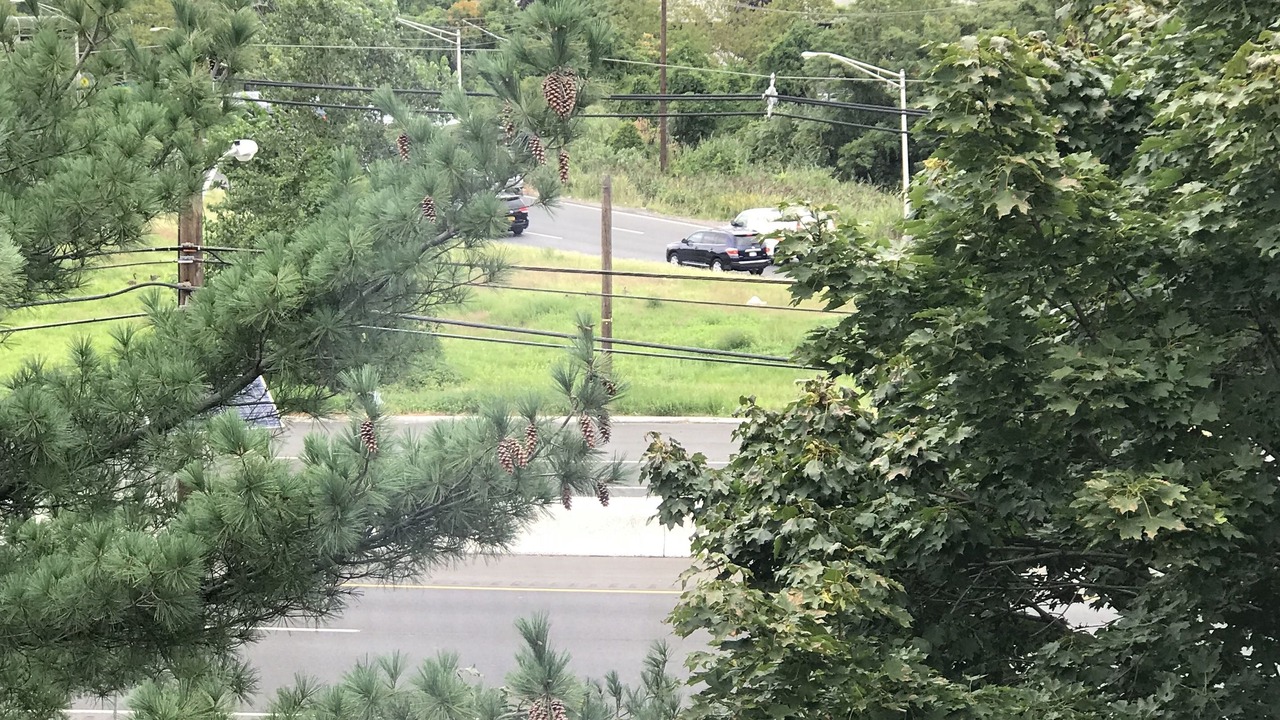 Photo of Others in Ridgefield Park