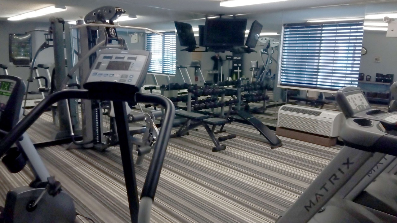 Photo of Others in Somerset