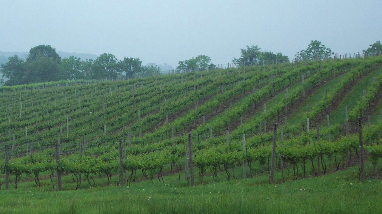 Photo of Outdoor in Danville