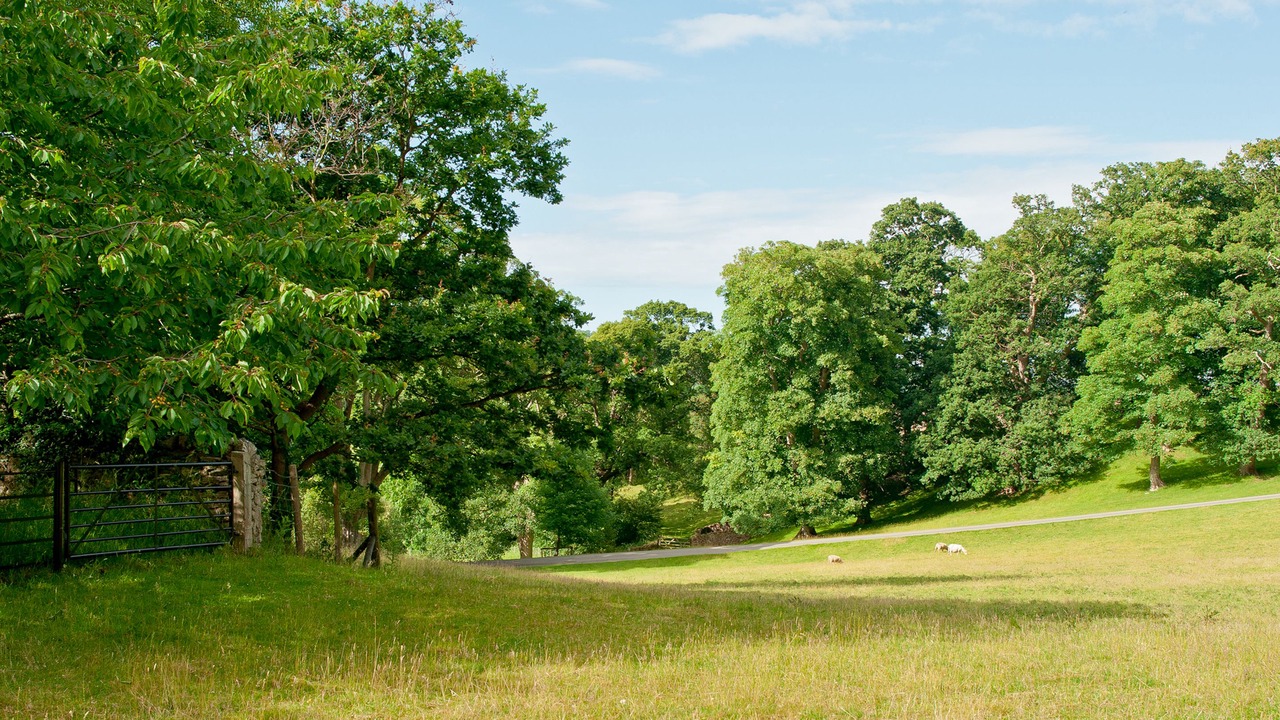 Photo of Bedroom in Llandudno