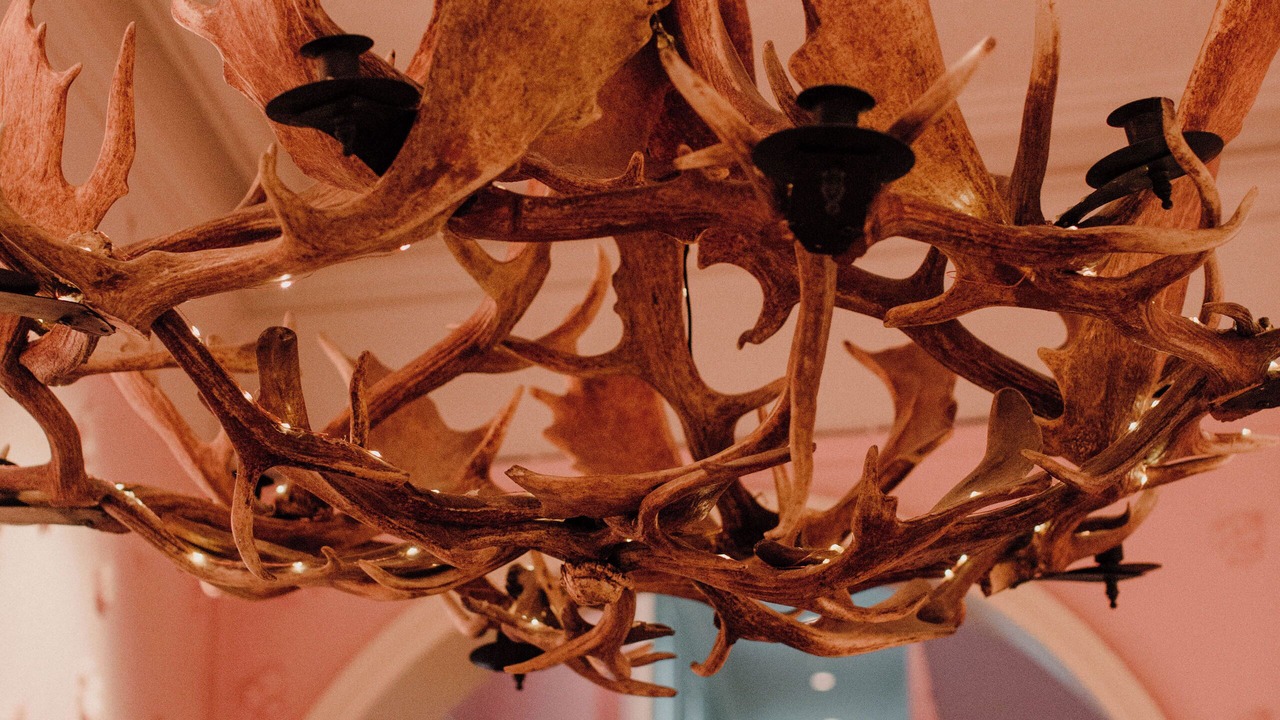 Photo of Others in Darlinghurst