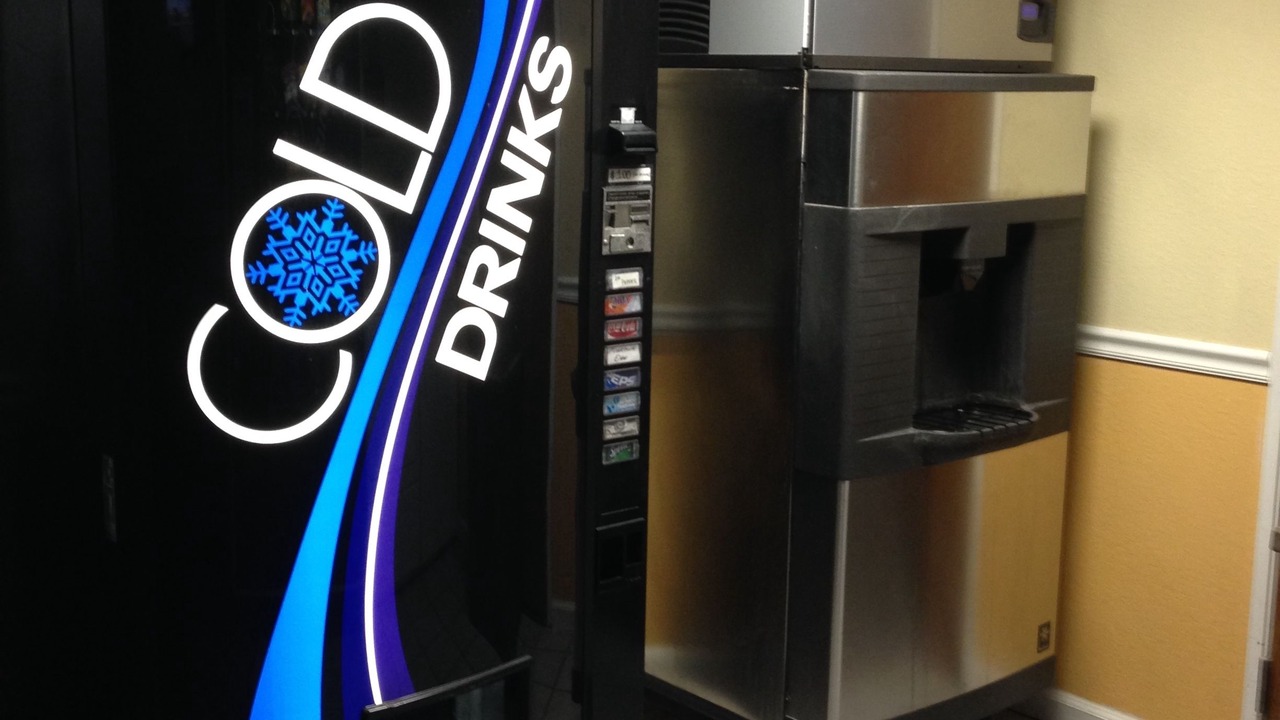 Photo of Others in Nut Tree