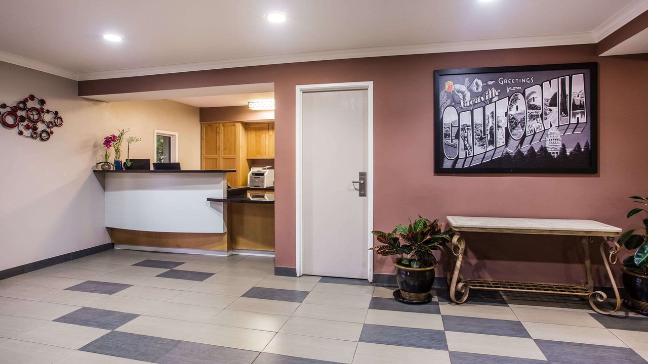 Photo of Others in Nut Tree