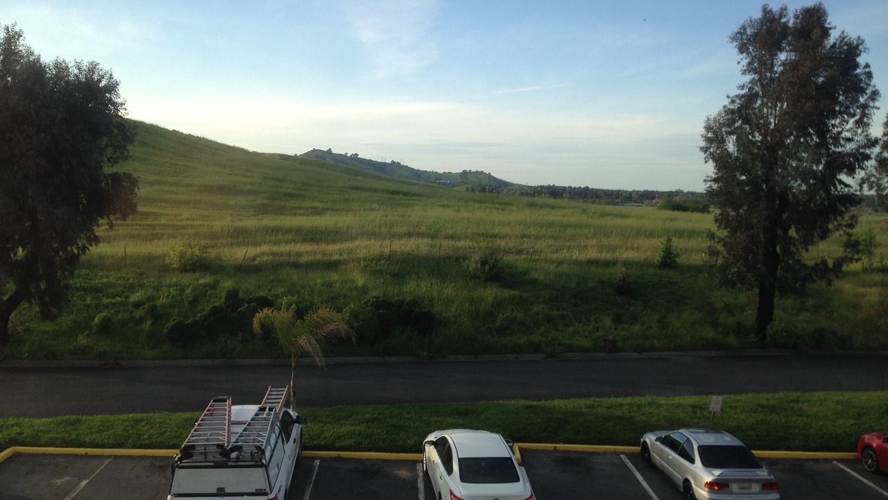 Photo of Others in Nut Tree