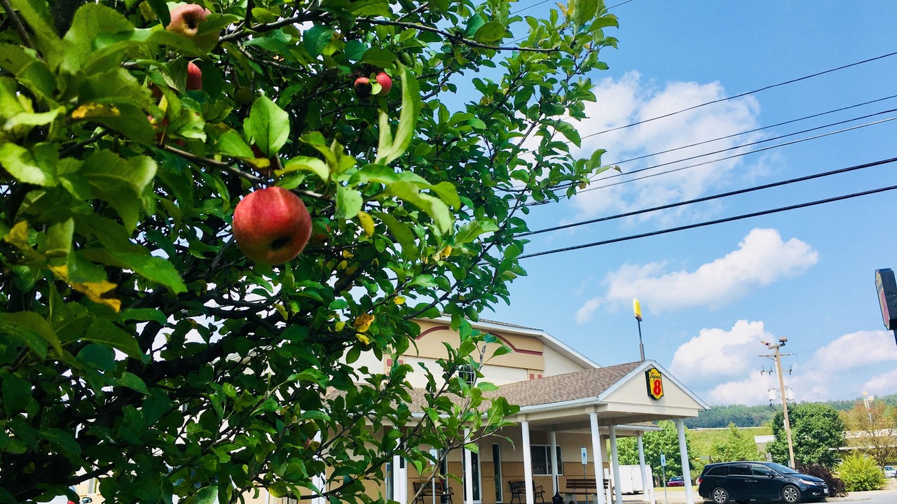 Photo of Outdoor in Clearfield