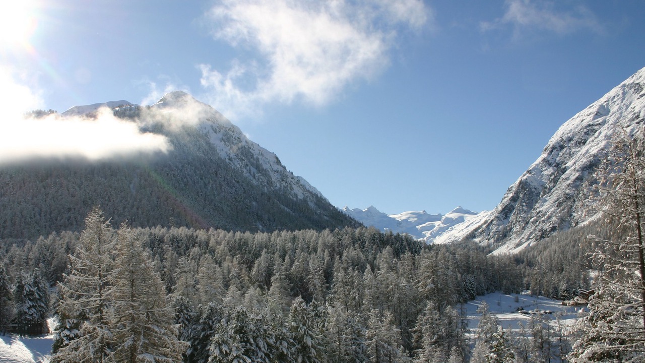 Photo of Bedroom in Pontresina
