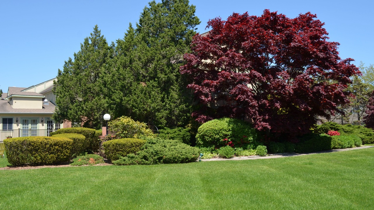 Photo of Outdoor in Village of Southampton