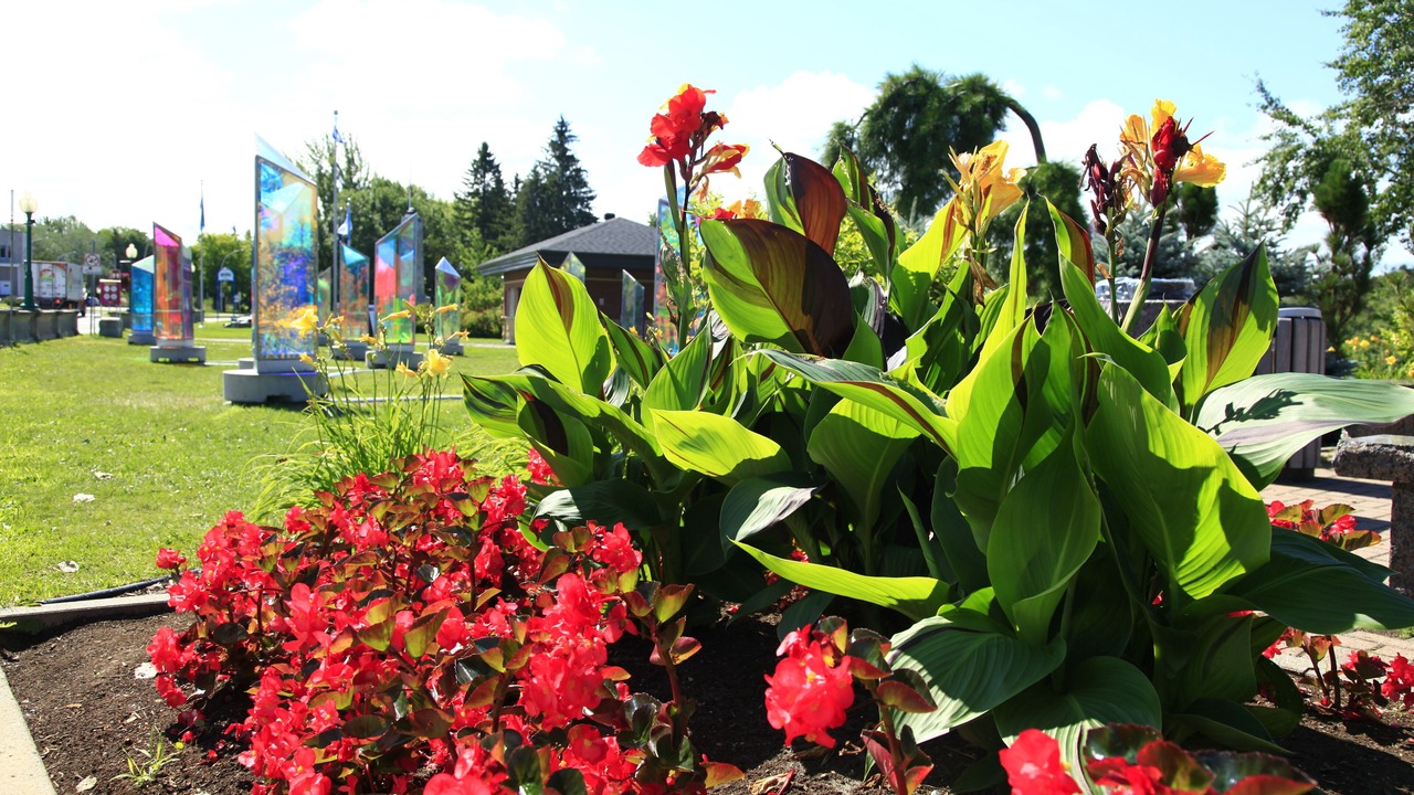 Photo of Outdoor in Shawinigan
