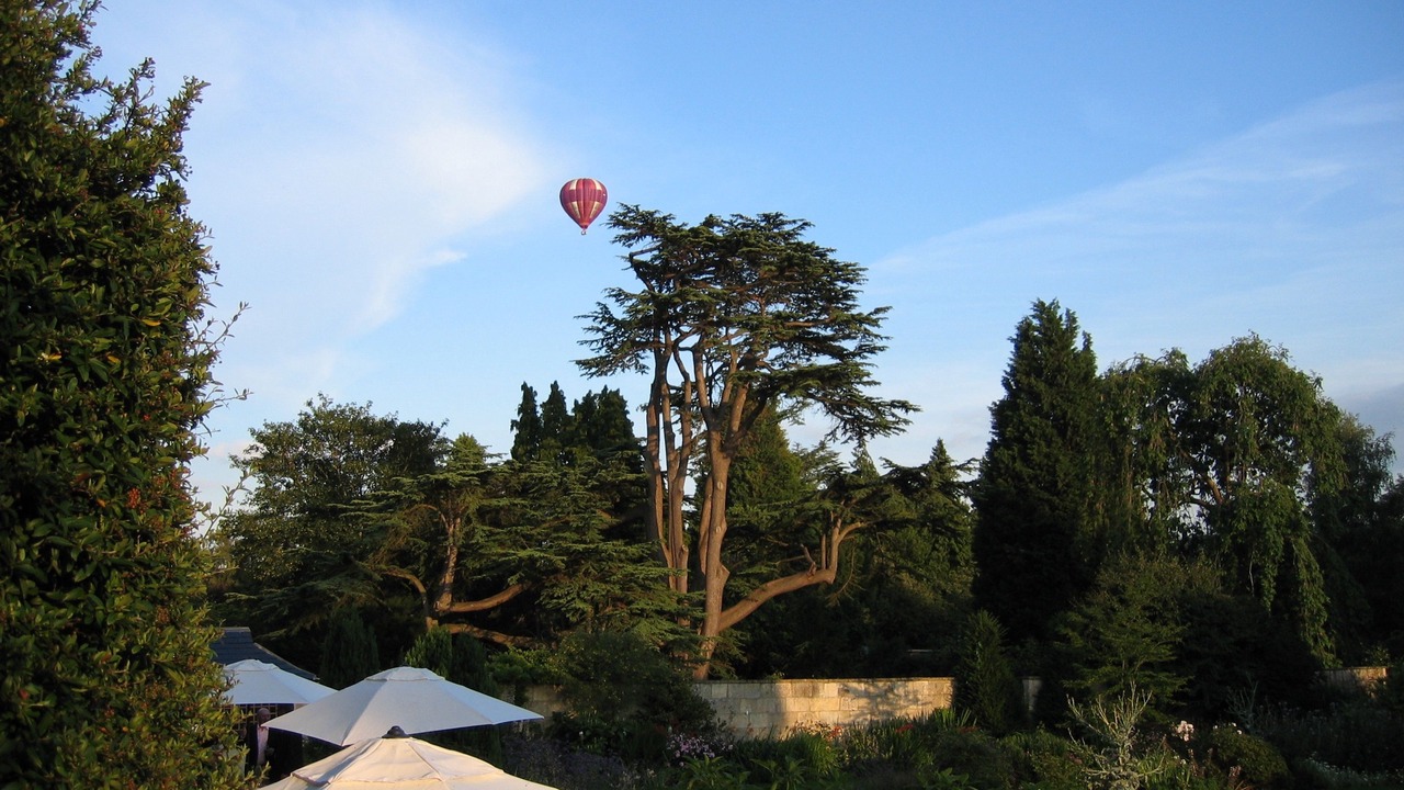 Photo of Others in Bath