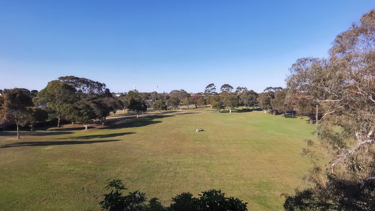 Photo of Outdoor in Belmont