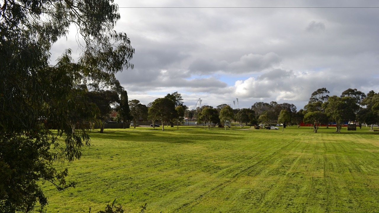 Photo of Others in Belmont