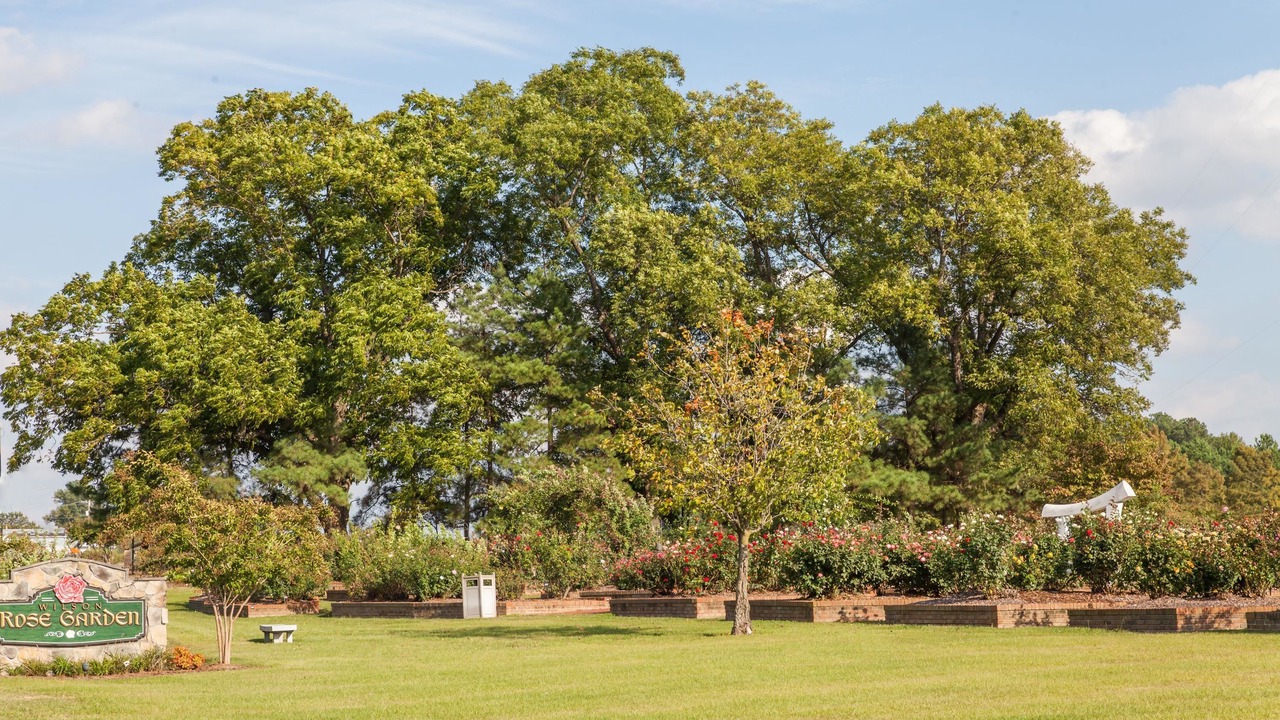 Photo of Outdoor in Wilson