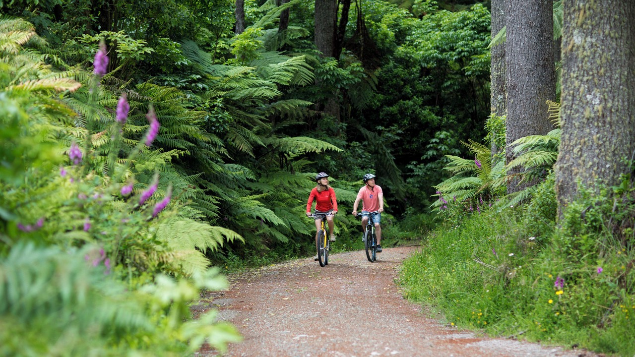 Photo of Outdoor in Lake Tarawera