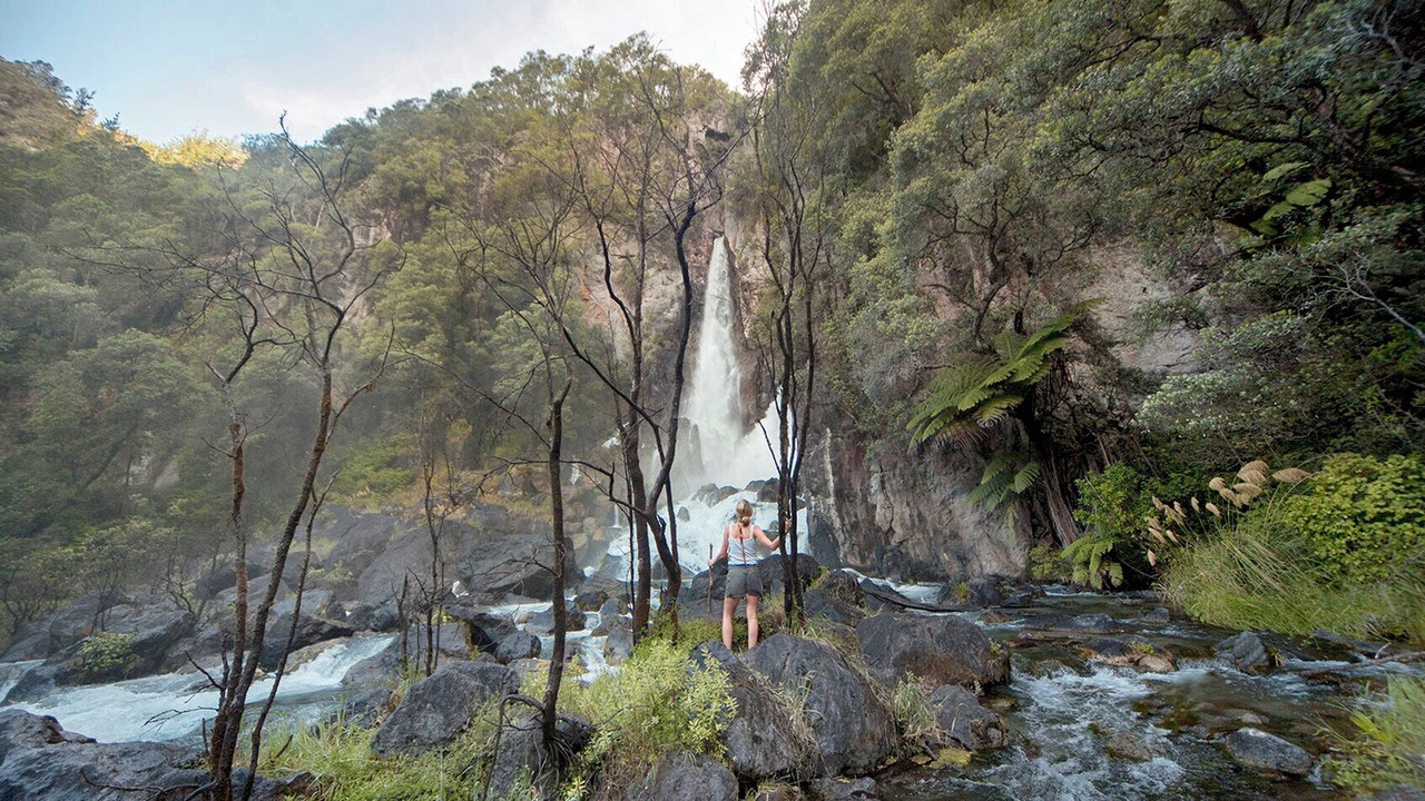 Photo of Outdoor in Lake Tarawera