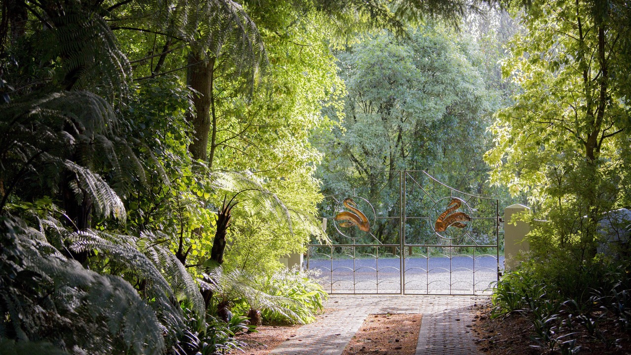 Photo of Outdoor in Lake Tarawera