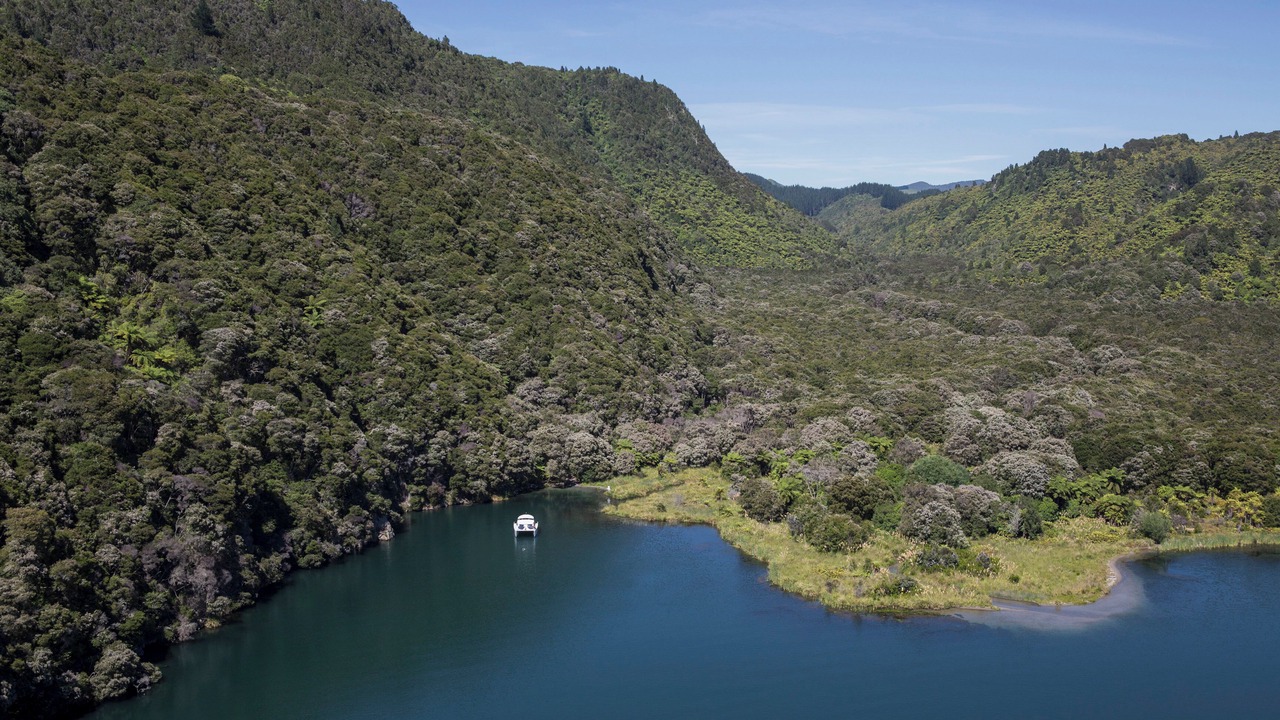 Photo of Others in Lake Tarawera
