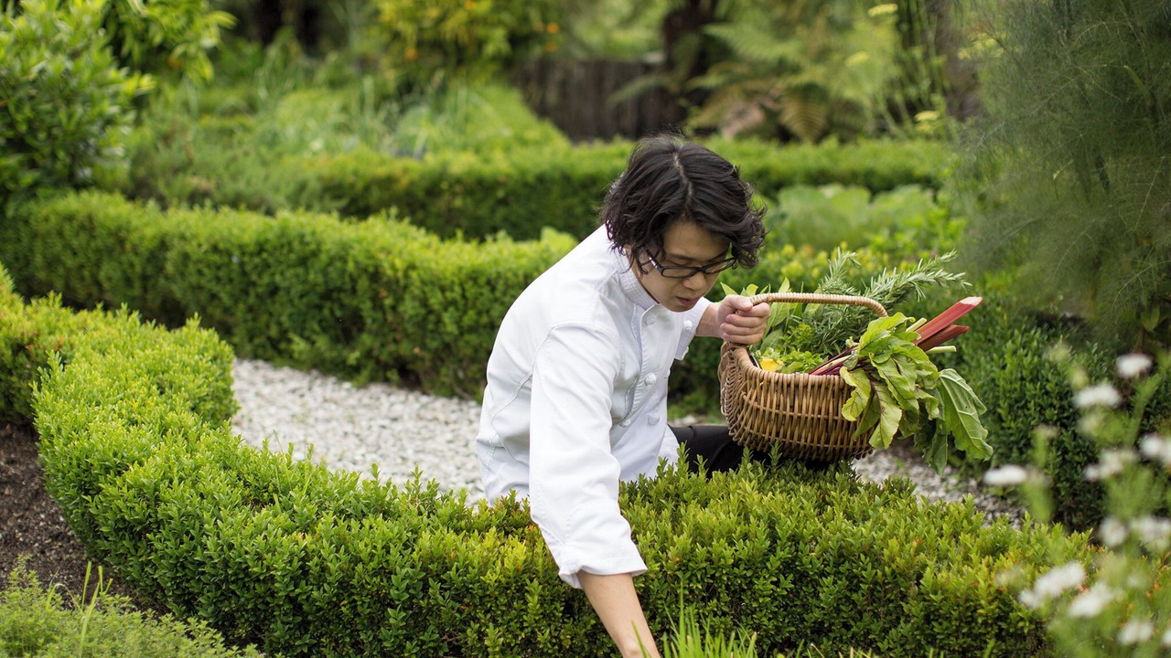 Photo of Outdoor in Lake Tarawera