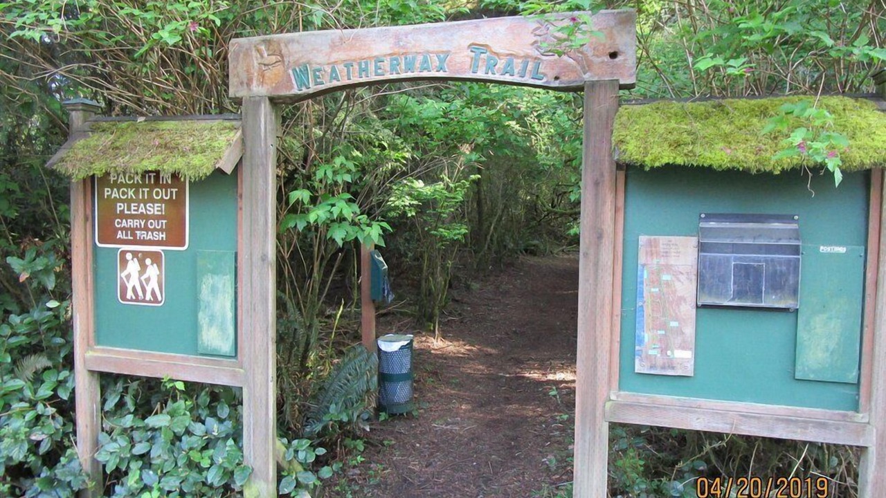 Photo of Others in Ocean Shores