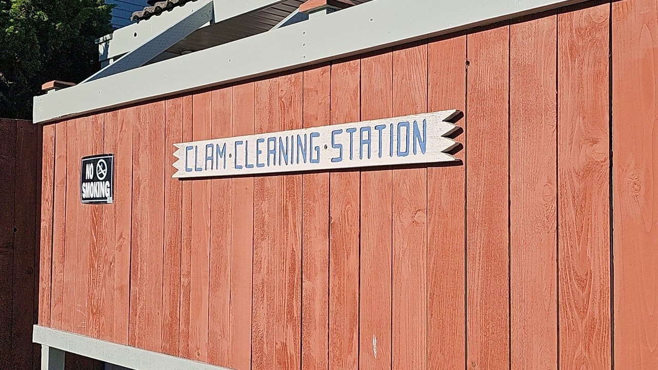 Photo of Others in Ocean Shores