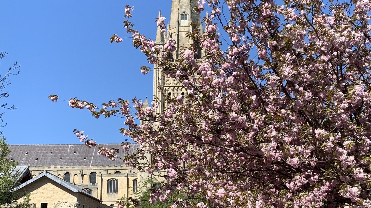 Photo of Others in Norwich